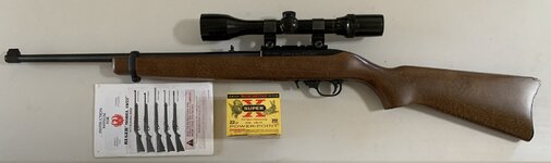 ruger 10 22 picture 1.jpg
