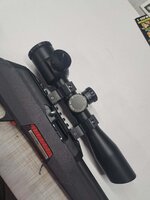 wichester wildcat .22 cal rifle with truglo scope
