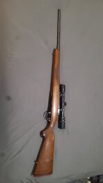 Ruger model 77 chambered in .243 Winchester