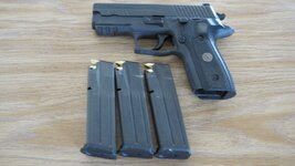Sig Sauer Legion 229 with 3 clips