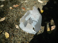 DSCN6665.JPG