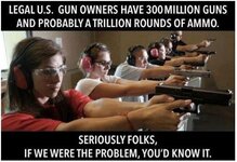 300 million guns.JPG
