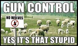 gun-control-is-stupid.JPG