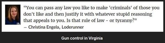gun control in Virginia.JPG