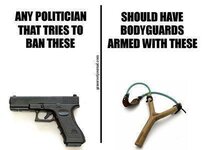 justice-for-gun-grabbing-politicians - Copy.jpg