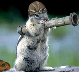 Animal Squirrel with Bazooka.png