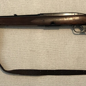 Winchester Model 88 1.jpg